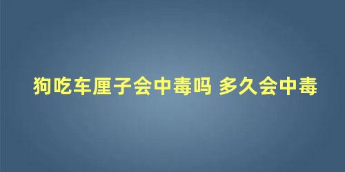 狗吃车厘子会中毒吗 多久会中毒